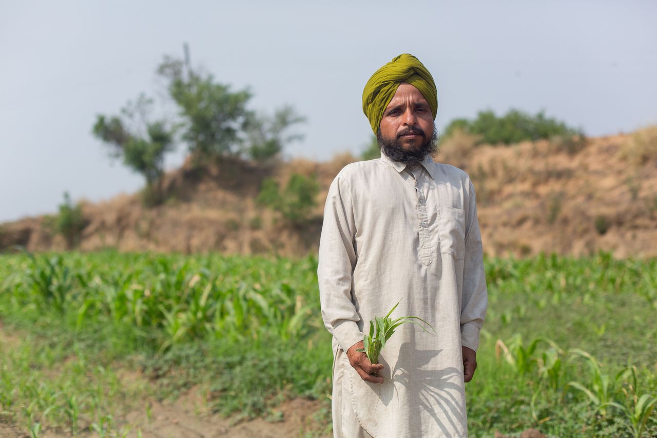 Harjeet Singh, 37-letni rolnik z Indii. Dla rolnictwa tego kraju zmiana klimatu jest bardzo poważnym zagrożeniem.