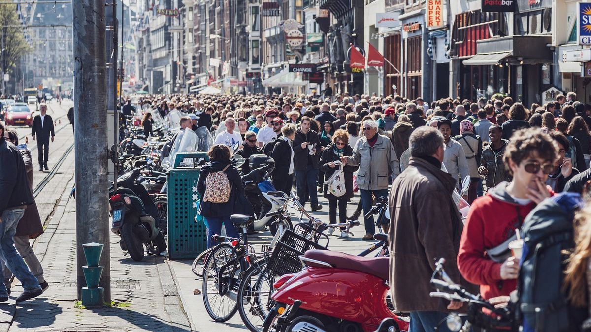 Emerytury wojskowe z Niemiec dla holenderskich esesmanów. Nawet 16 tys. euro rocznie