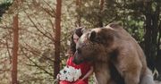 Rosyjska fotografka tworzy bajkowe portrety z pomocą... niedźwiedzia