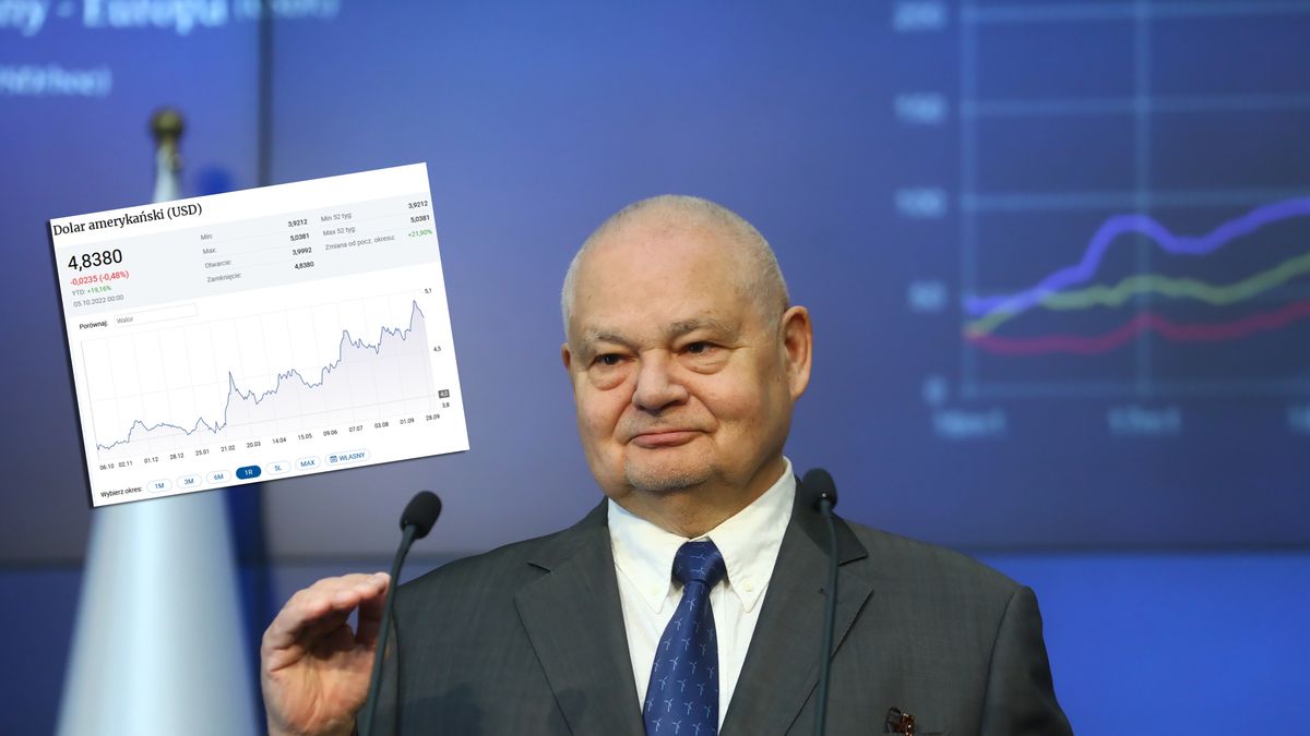 Od początku 2022 r. złoty stracił do dolara około 20 proc. swojej wartości