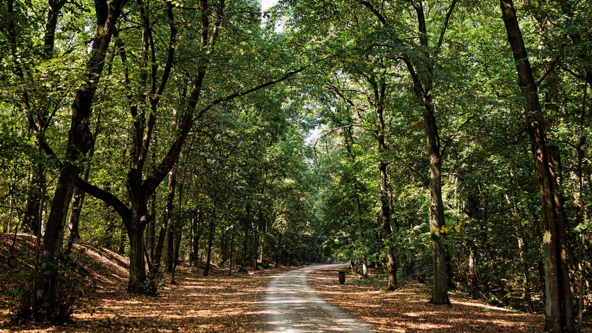 KE zagroziła Polsce karami w związku z niewykonaniem wyroku TSUE