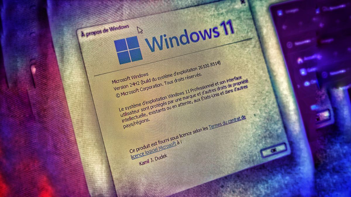 Windows 11