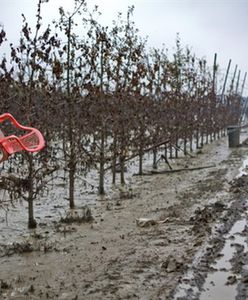 Stan alarmowy na Bugu przekroczony - liczne podtopienia