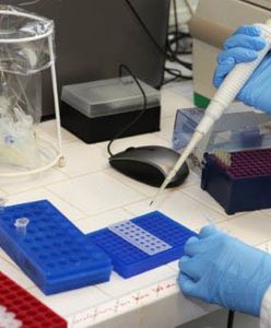 Bakteria EHEC zabiła dwie kolejne osoby