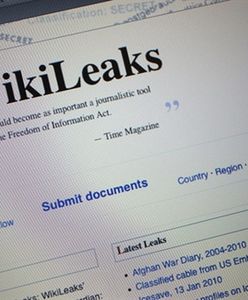 WikiLeaks zaatakował haker "Błazen"?