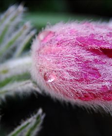 Wiosna w całej Polsce