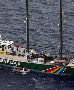 Po co Greenpeace wrzuca do morza głazy?