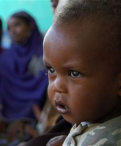 Polacy coraz chętniej adoptują na odległość