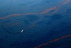 Plama ropy z zatopionej platformy dotarła do wybrzeża