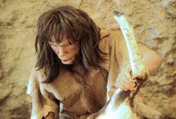 Naukowcy: neandertalczycy byli macho