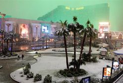 Śnieg przykrył palmy i uziemił Las Vegas