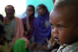 Polacy coraz chętniej adoptują na odległość