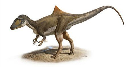 Dinozaury mogły mieć wszy