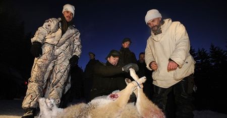 "Mordują, żeby przedłużyć sobie męskość, to psychopaci"