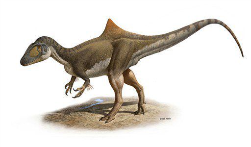 Dinozaury mogły mieć wszy