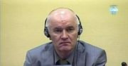 "Nigdy nie słyszałem czegoś tak okropnego, jestem chory"