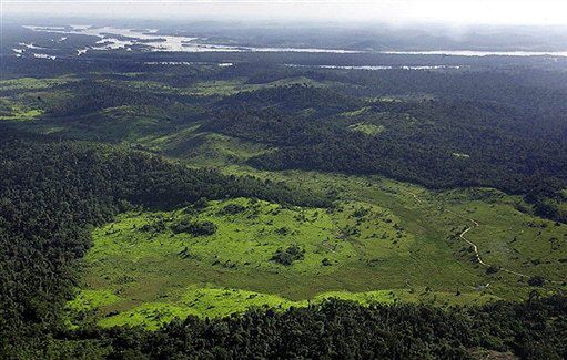 Obecność misjonarzy przyczyną samobójstw w Amazonii?