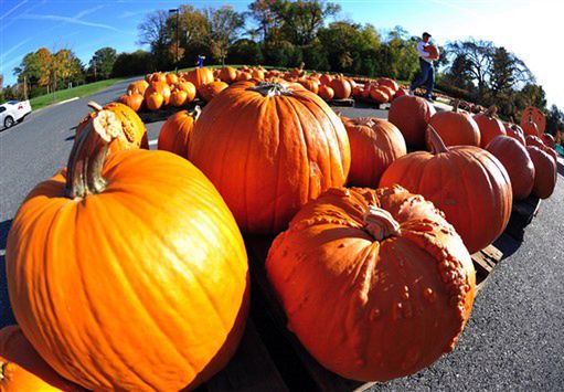 Katolicka ofensywa przeciwko Halloween