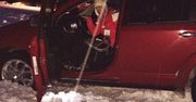 Joanna Krupa utknęła w zaspie! "Już nigdy nie poprowadzę samochodu" [zdjęcia]