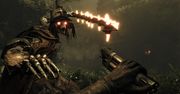 Adrian Chmielarz podkłada ogień pod Witchfire