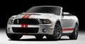 Ford Shelby GT500