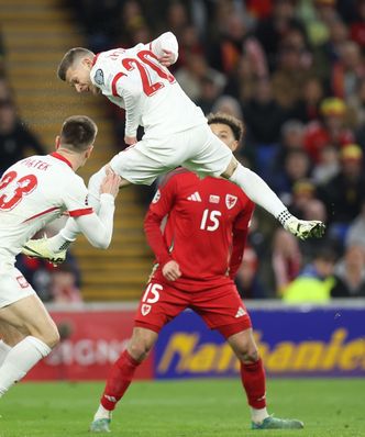 Co za liczby! TVP chwali się wynikami po meczu Polski
