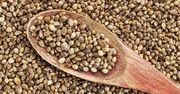 Nasiona hemp - najzdrowsze ziarna świata