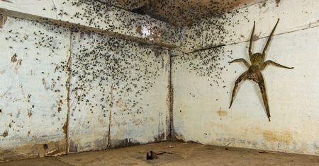 Fotograf mógł zginąć. To zdjęcie dostało prestiżową nagrodę