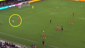 Sceny w USA. Nie uwierzysz, kto wbiegł na murawę