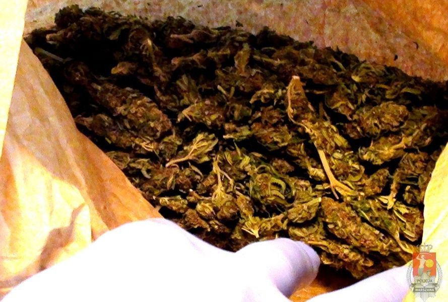 Niemal 200 gramów marihuany schował w zamrażarce