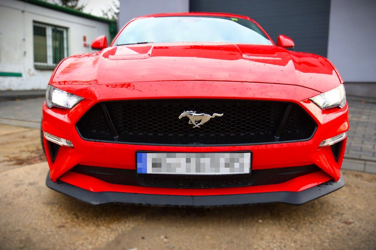 Mustang