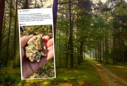 Wygląda jak bursztyn. Możną ją znaleźć w lesie
