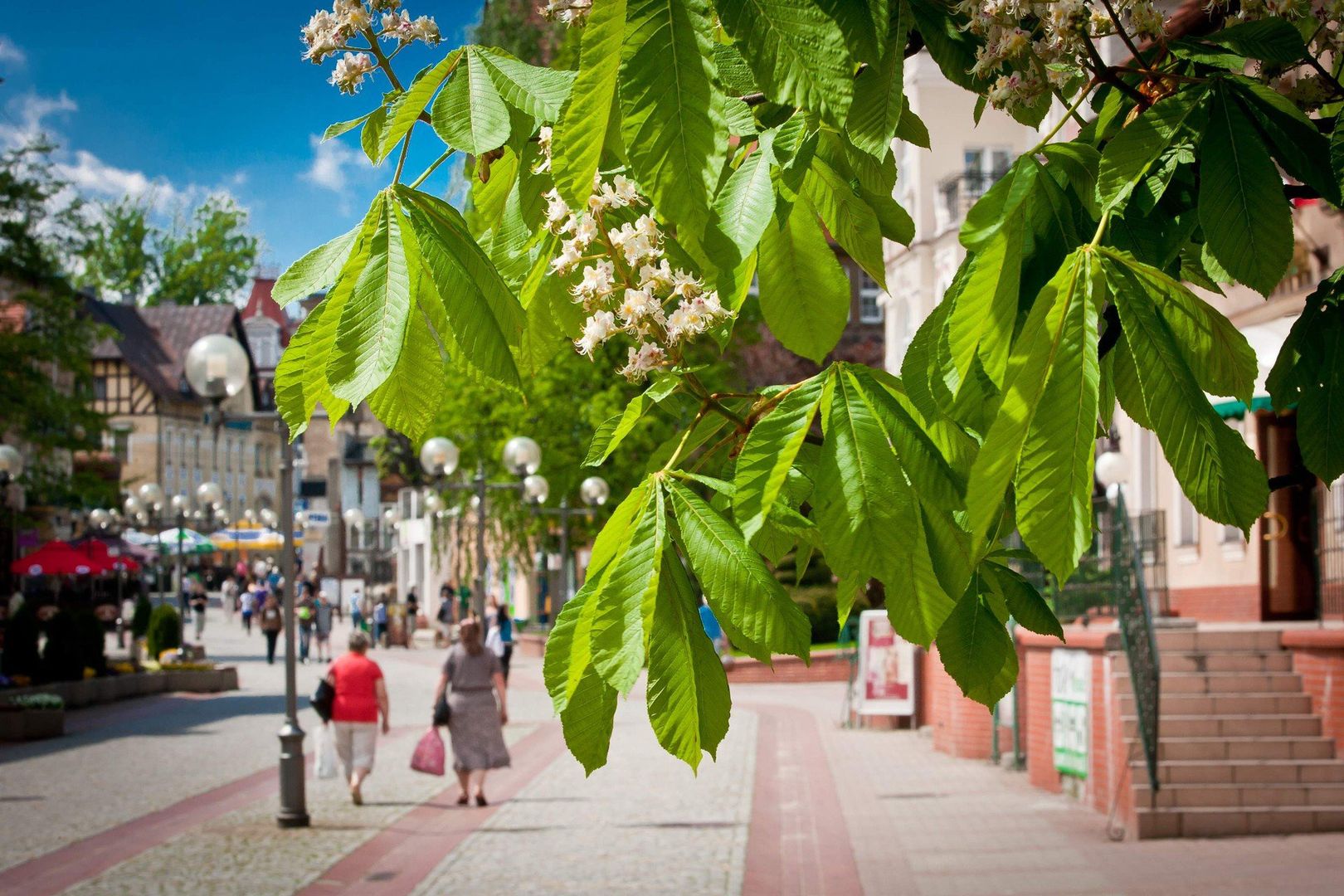 Sanatoria w Szczawnie-Zdroju