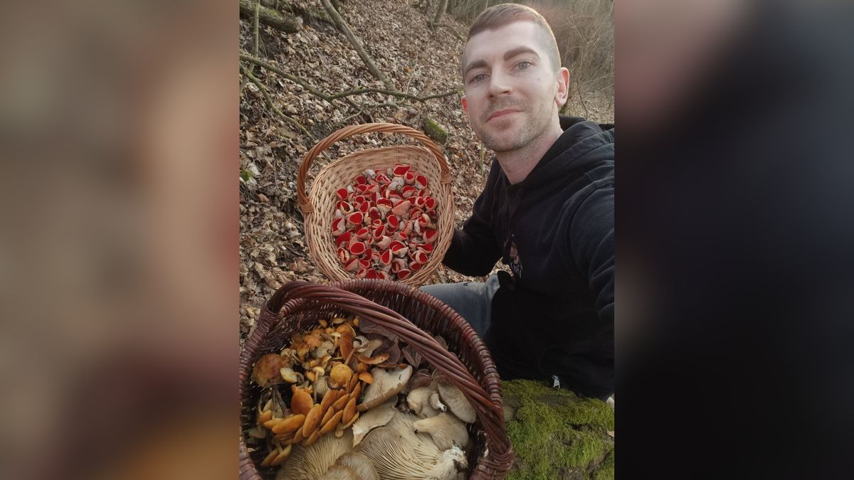 Dwa kosze grzybów. Sukces grzybiarza.