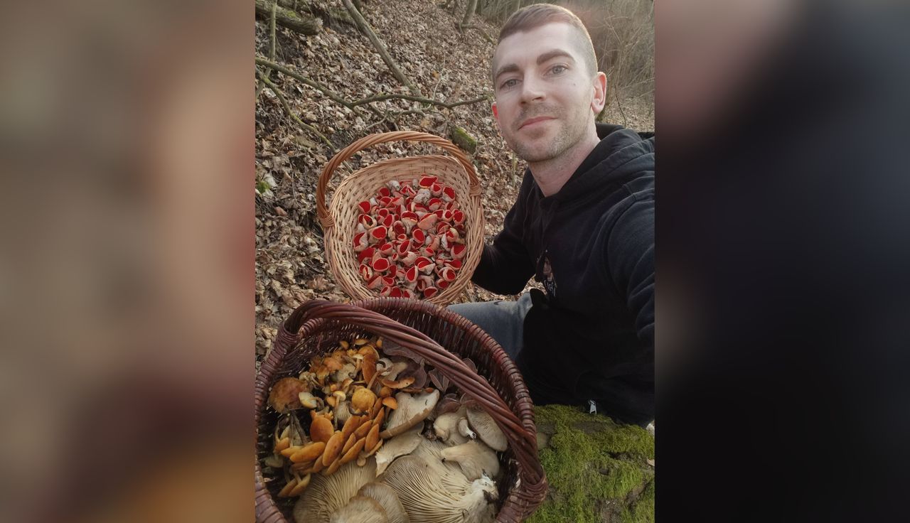 Aż dwa kosze. To nie żart. Ujęcia z lasu podbijają sieć