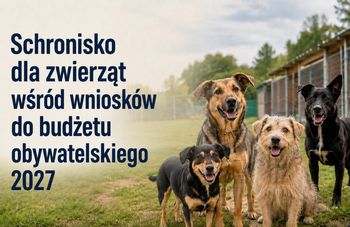 Toruń. 118 projektów z budżetu obywatelskiego z szansą na realizację. Na liście odrzuconych 31 inicjatyw