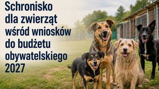 Toruń. 118 projektów z budżetu obywatelskiego z szansą na realizację. Na liście odrzuconych 31 inicjatyw