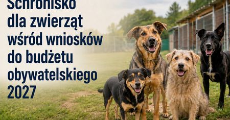 Toruń. 118 projektów z budżetu obywatelskiego z szansą na realizację. Na liście odrzuconych 31 inicjatyw
