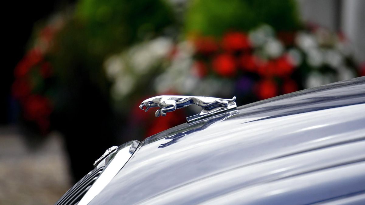 Para z Londynu samodzielnie odzyskała skradzionego jaguara