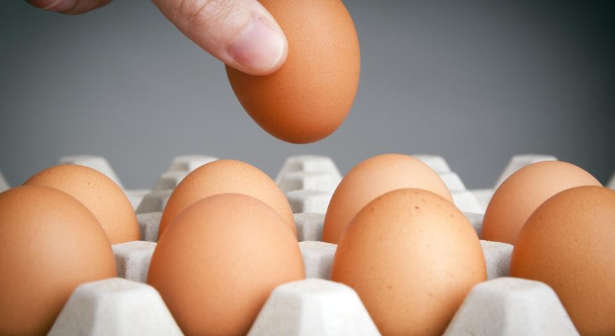 Jajka są źródłem białka