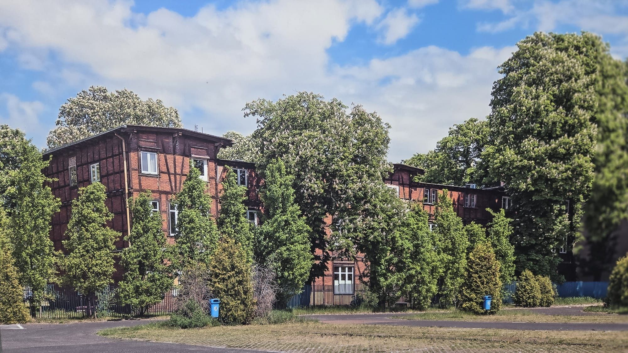 cavallia
