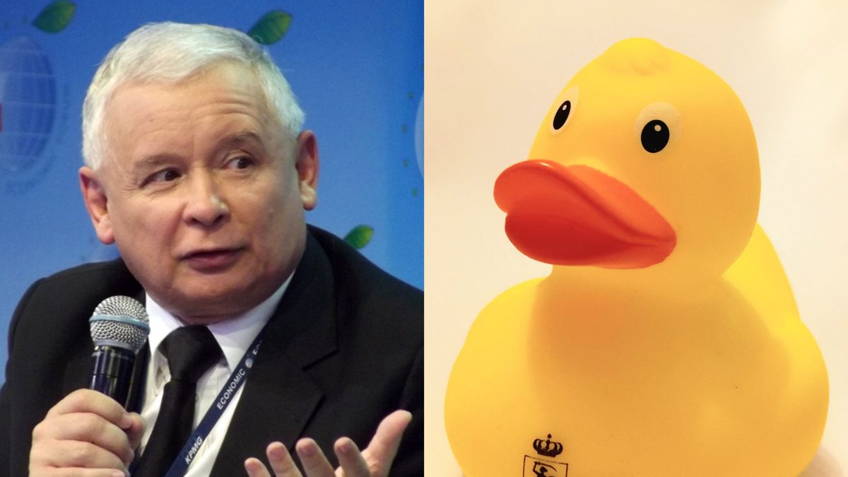 Dzielnica zdecydowała się na nietypowy gadżet