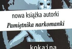 Seria niefortunnych zdarzeń 3. Ogromne okno