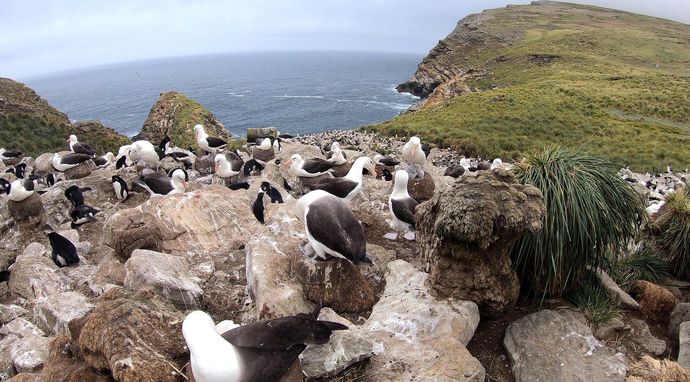 Tajemnice zwierząt 2