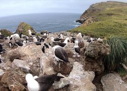 Polsat Viasat Nature HD Tajemnice zwierząt 2