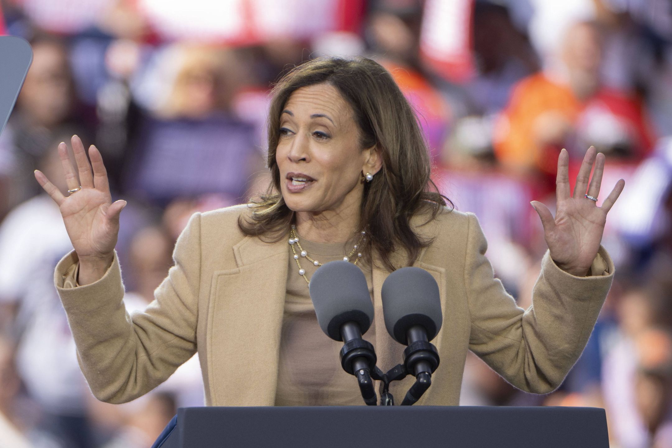 Democratic presidential nominee Kamala Harris campaign rally in Georgia
epa11697848 Democratic Presidential candidate and current US Vice President Kamala Harris addresses supporters at a campaign rally held at the Atlanta Civic Center in Atlanta, Georgia, USA, 02 November 2024. The United States will hold its presidential election on 05 November 2024. 
2024.  EPA/EDWARD M. PIO RODA 
Dostawca: PAP/EPA.
EDWARD M. PIO RODA
microphone, campaigning, crowd