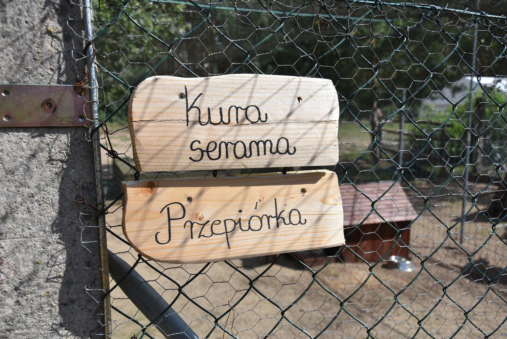 Podleśna Zagroda - Mini ZOO Mieścisko