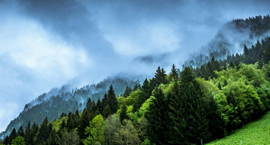 Ministerstwo walczy z dezinformacją o klimacie i energii. Seria warsztatów