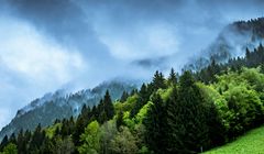 Ministerstwo walczy z dezinformacją o klimacie i energii. Seria warsztatów