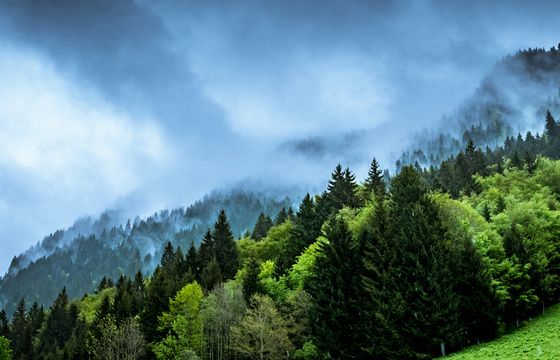 Ministerstwo walczy z dezinformacją o klimacie i energii. Seria warsztatów